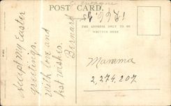 Blumen - Blumen - Querfeldeinrennen mit Lilien - CPA