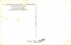 Blumen - Blumen - sehr victorian Blumen - CPA