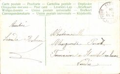 Blumen - kleine weisse Blumen - CPA