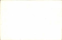 Blumen - Blumen - recht wenig Blumenstrauss - CPA