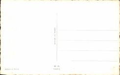 Blumen - Blumen - Blumenstrauss weg von den exotischen Blumen - gutes Festival - CPA