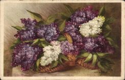 Blumen - Blumen - Tennisschuh der mit hubschen Blumen - CPA birst