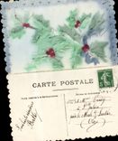 Bluht - Blumen - houx - Stechpalme - CPA