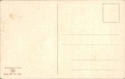 Blumen - Blumen - schone weisse Bluten - CPA