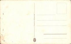 Blumen - Blumen - hubscher Ganseblumchenblumenstrauss - CPA