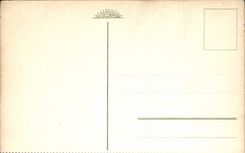 Blumen - Blumen - rosafarbenes helles Spitzen- Bild - CPA