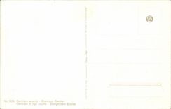 Bluht - Blumen - ausgedehnte drei bunte Blumen - CPA