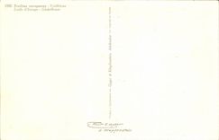 Bluht - Blumen - brigt gelbe Blumen - CPA