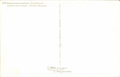 Blumen - Blumen - recht purpurrote Wildflowers - CPA