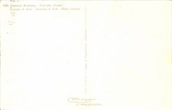 Blumen - Blumen - recht purpurrote Wildflowers - CPA