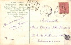 Blumen - Blumen - Blume entspringt - Victorian - CPA