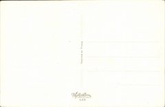 Bluht - Blumen - Narzisse - Schmetterling - Schmetterling - Victorian - CPA