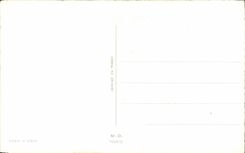 Bluht - Blumen - helle orange Blute - gutes Festival - CPA