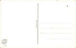 Blume - Blumen - Victorian - Blumenstrauss - gute Festival-Mamma - Tanzer - CPA