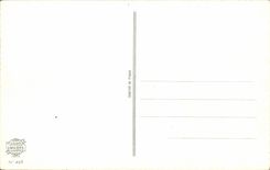 Blume - Blumen - Victorian - gute Festival-Mamma - Tanzer - CPA