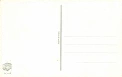 Blume - Blumen - Victorian - gute Festival-Mamma - Tanzer - CPA