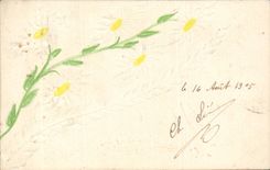 Bluht - Blumen - Ganseblumchen - CPA