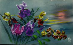 Bluht - Blumen - exotische Blumen am Sonnenuntergang - CPA