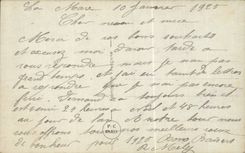 Bluht - Blumen - exotische Blumen am Sonnenuntergang - CPA