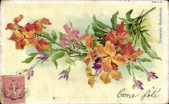 Blumen - Blumen - gutes Festival - recht orange Blumen - CPA