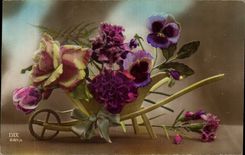 Blumen - Blumen - Schubkarre weg vom Rosa und von Pansies - gedacht - CPA