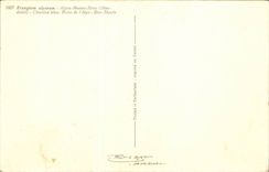 Bluht - Blumen - exotische Blute - CPA