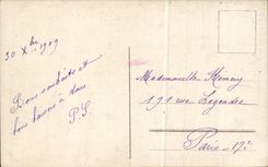 Bluht - Blumen - weisse Blute - CPA