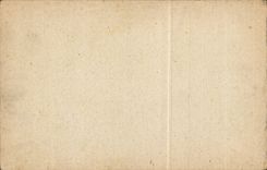 Bluht - Blumen - Grafschaftblumen mit Weizen - gutes Festival - CPA