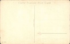 Bluht - Blumen - Ganseblumchen - CPA