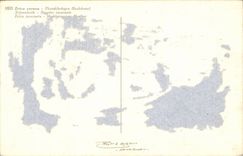 Blumen - Blumen - hubsche Wildflowers - CPA