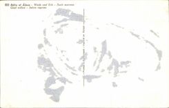 Blumen - Blumen - geschlossen herauf weg von pussywilows - CPA