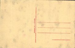 Bluht - Blumen - Wildflower - CPA Blume sechees