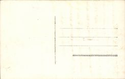 Bluht - Blumen - Blumenstrauss mit Ganseblumchen - CPA