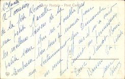 Blumen - Blumen - Funkeln zeichneten Blumen in der Totenglockenschussel - CPA