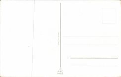 Bluht - Blumen - gestaltenlandszene - CPA