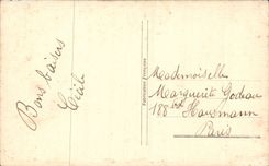 Blumen - Blumen - gute Anne - houx - Stechpalme mit weissen Beeren - CPA