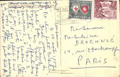 Bluht - Blumen - empfindliche blaue Blumen - CPA