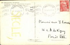 Blumen - Blumen - CPA