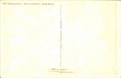 Blumen - Blumen - Blumenstrauss und pussywillows - CPA