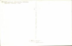 Bluht - Blumen - Ganseblumchen - CPA