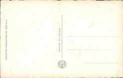 Blumen - Blumen - Blumen umrandet im Funkeln - CPA