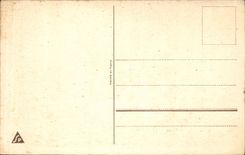 Bluht - Blumen - Gebirgsblumen - CPA