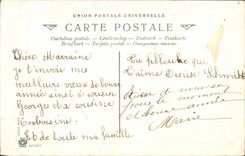 Blumen - Blumen - Blumen mit Stechpalme - houx - CPA