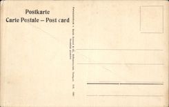 Blumen - Blumen - weisse Bluten - CPA