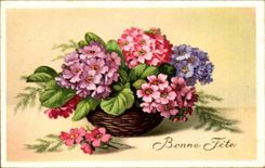 Blumen - Blumen - wenig Tennisschuh weg von den Blumen - gutes Festival - CPA