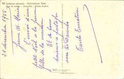 Blumen - Blumen - rosafarbene Blumen - CPA