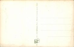 Blumen - recht rosafarbene Blumen - CPA