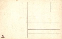 Blumen - hubsche Tulpen - CPA