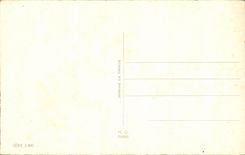 Bluht - Blumen - Ganseblumchen - CPA