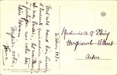 Bluht - Blumen - weisse Bluten - CPA